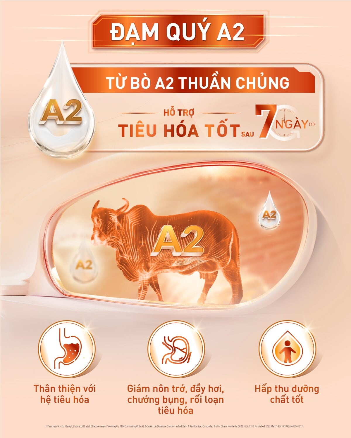 Đạm dễ tiêu hóa – Nền tảng của dòng sữa phát triển toàn diện cho bé yêu