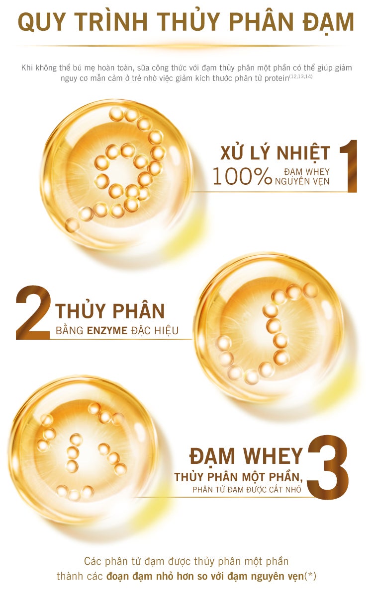 Quy trình thuỷ phân đạm
