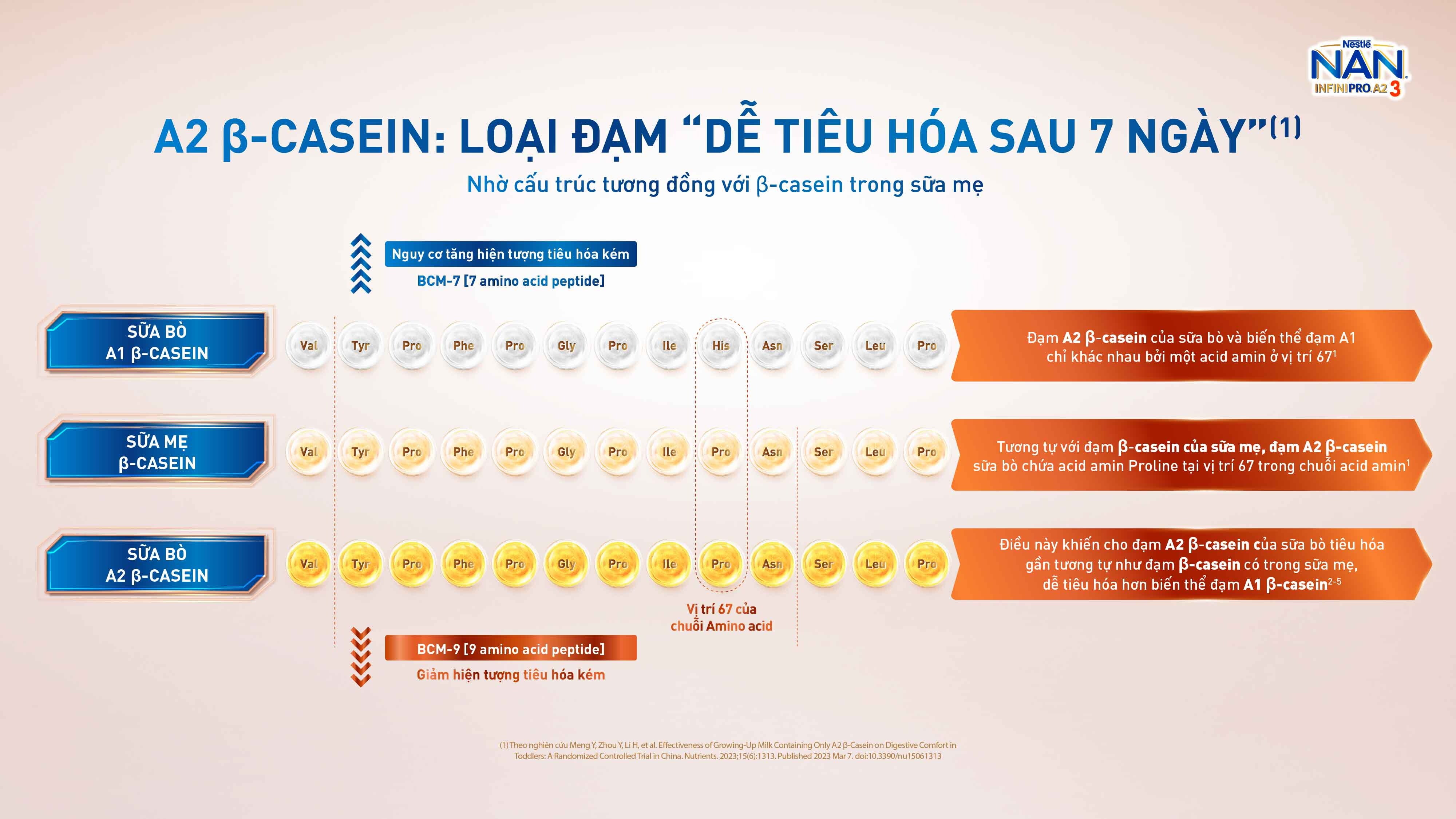 Vai trò của chất đạm và đạm A2