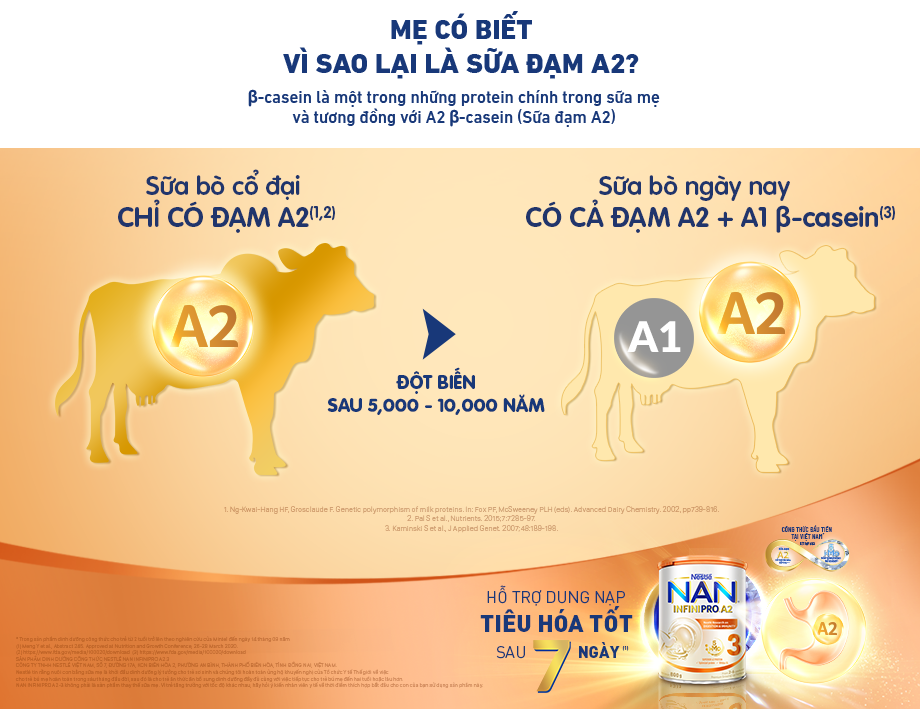 Đạm A2 B-Casein trong NAN Infinipro A2 (Bước 3) giúp giảm các triệu chứng rối loạn tiêu hóa ở trẻ do không dung nạp đạm
