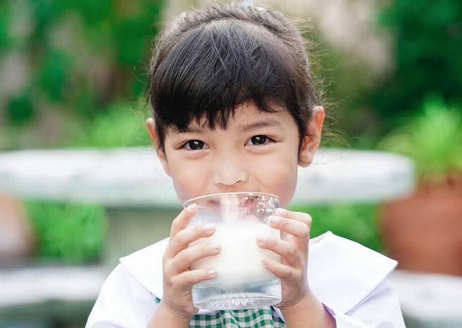 Sữa chứa đạm A2 so với A1 sẽ dung nạp tốt hơn