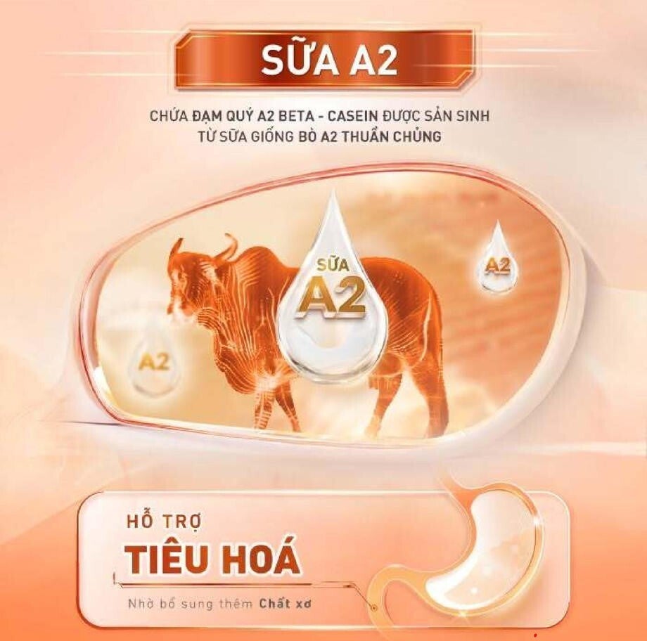 Đạm quý A2 là gì? Đạm lấy từ bò chỉ sản xuất protein beta-casein A2
