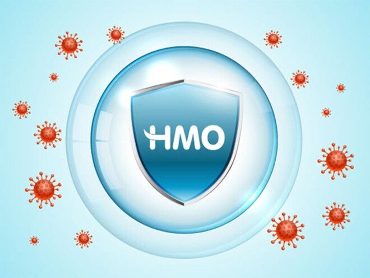 Tìm hiểu thành phần HMO trong sữa NAN là gì?