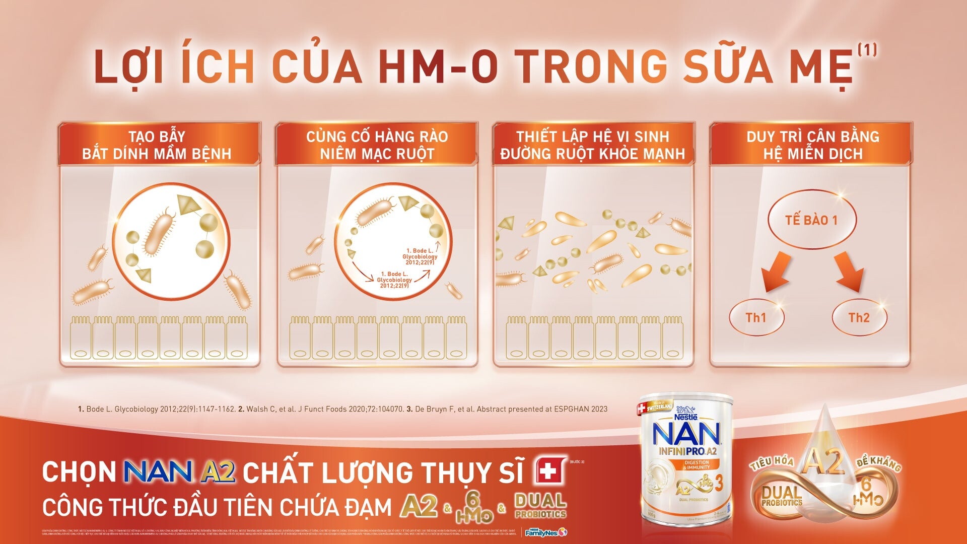 Mối quan hệ giữa HMO trong sữa mẹ và hệ miễn dịch của trẻ