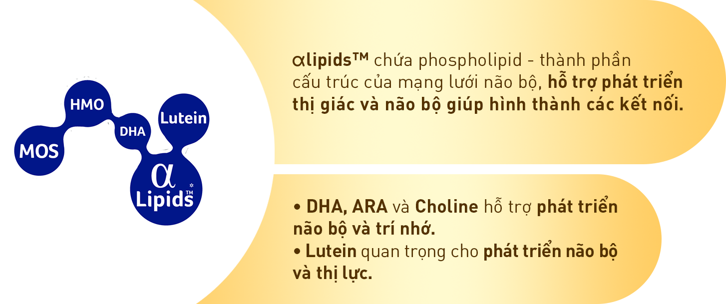S26 - Ultima