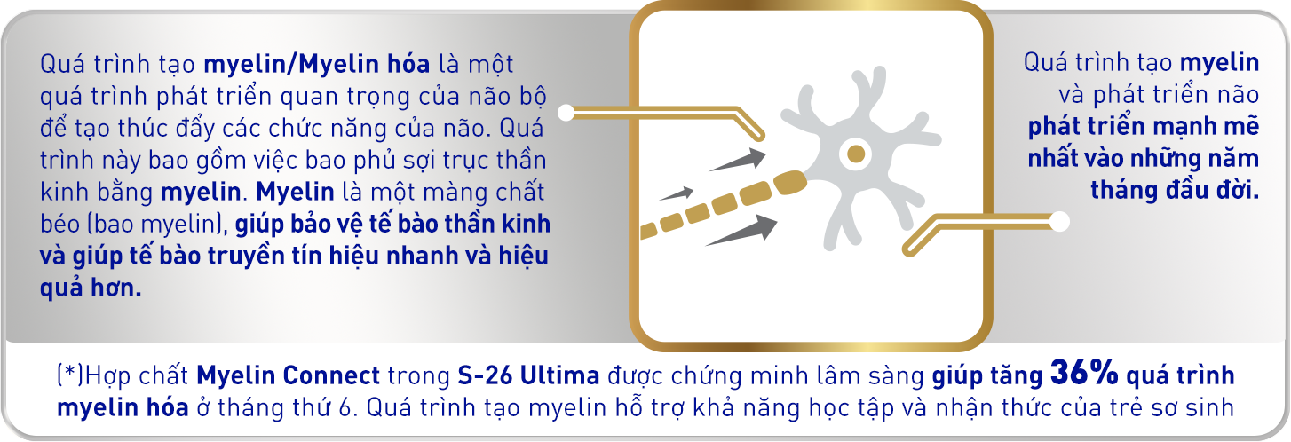 S26 - Ultima