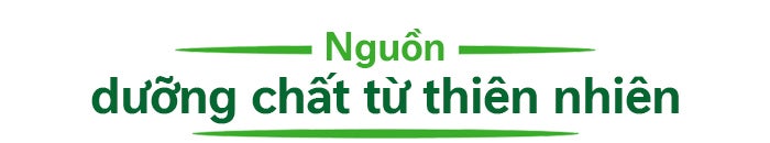 nguồn dinh dưỡng sạch và có lợi cho trẻ