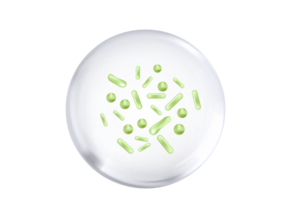 probiotic-nan-expert
