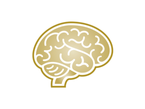 cognitive-development