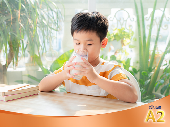 Vì sao nên chọn sữa đạm Vì sao nên chọn sữa đạm