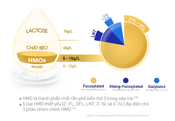 hmo board hmo board