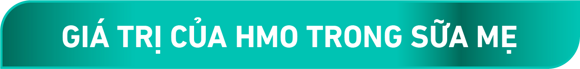 hmo value hmo value