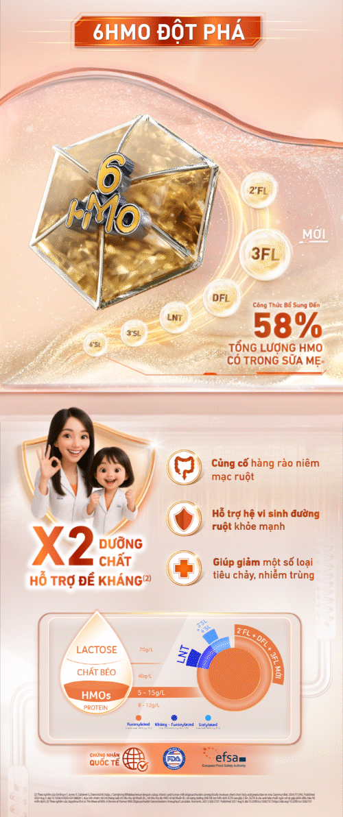 6HMO đột phá 6HMO đột phá
