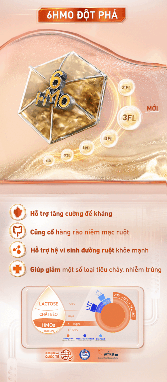 6HMO đột phá 6HMO đột phá