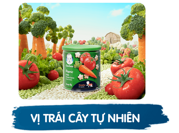 Không bổ sung thêm đường muối, hương liệu, phẩm màu và chất bảo quản Không bổ sung thêm đường muối, hương liệu, phẩm màu và chất bảo quản