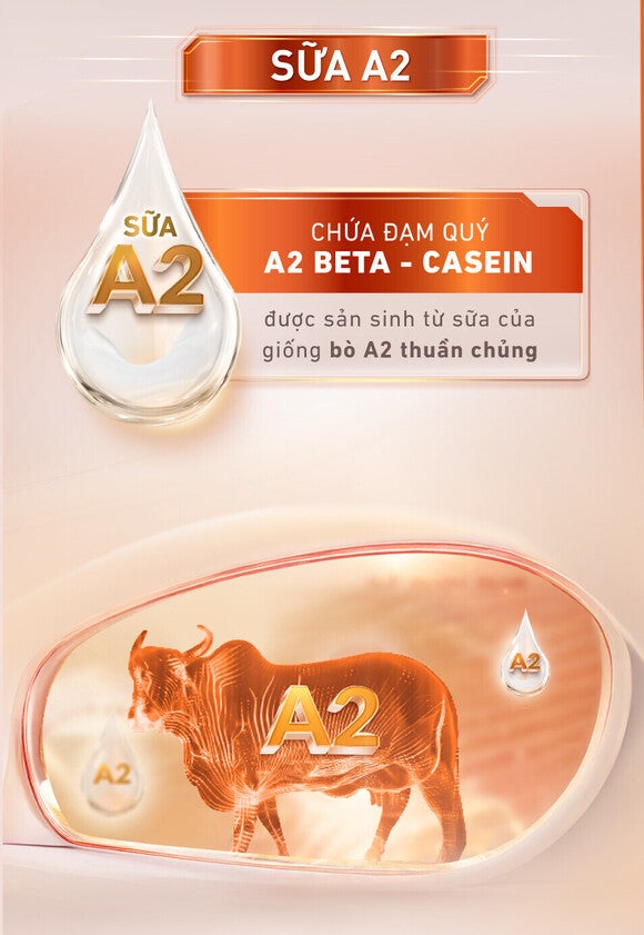 Sữa A2