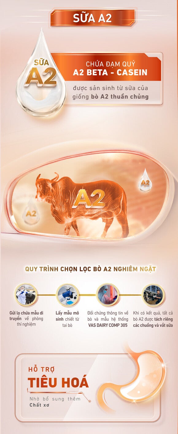 Sữa A2 chứa Đạm quý A2 Beta - Casein