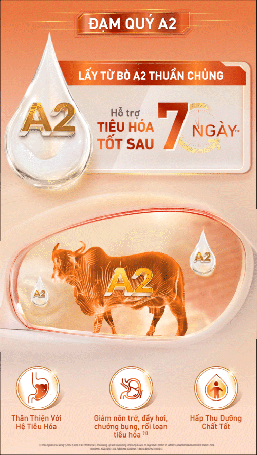 Đạm quý A2 Đạm quý A2
