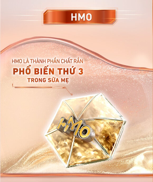 HMO 