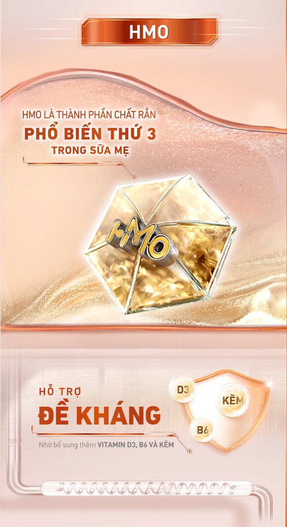 HMO là thành phần chất rắn phổ biến thứ 3 trong sữa mẹ 