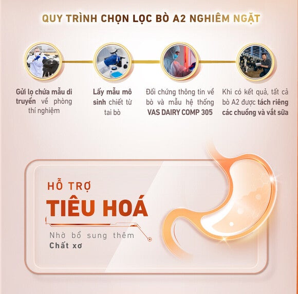 Quy trình chọn lọc bò A2 nghiêm ngặt