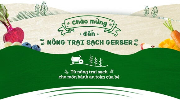 banh-gao-gerber_5 banh-gao-gerber_5