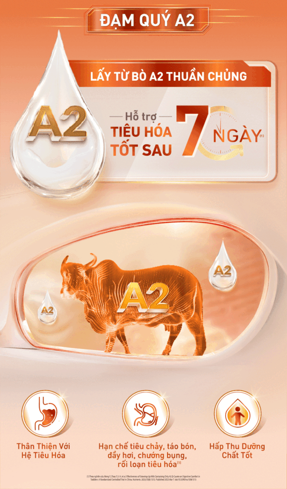 Đạm quý A2