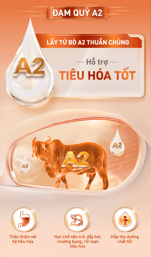 Đạm quý A2 Đạm quý A2