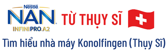 Nan Từ Thụy Sĩ
